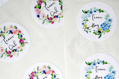 Team Boy Team Girl Stickers