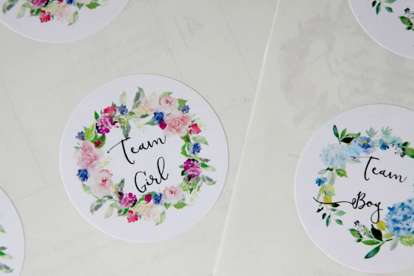 Team Boy Team Girl Stickers