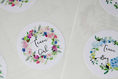 Team Boy Team Girl Stickers