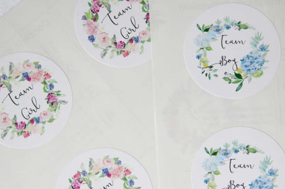 Team Boy Team Girl Stickers