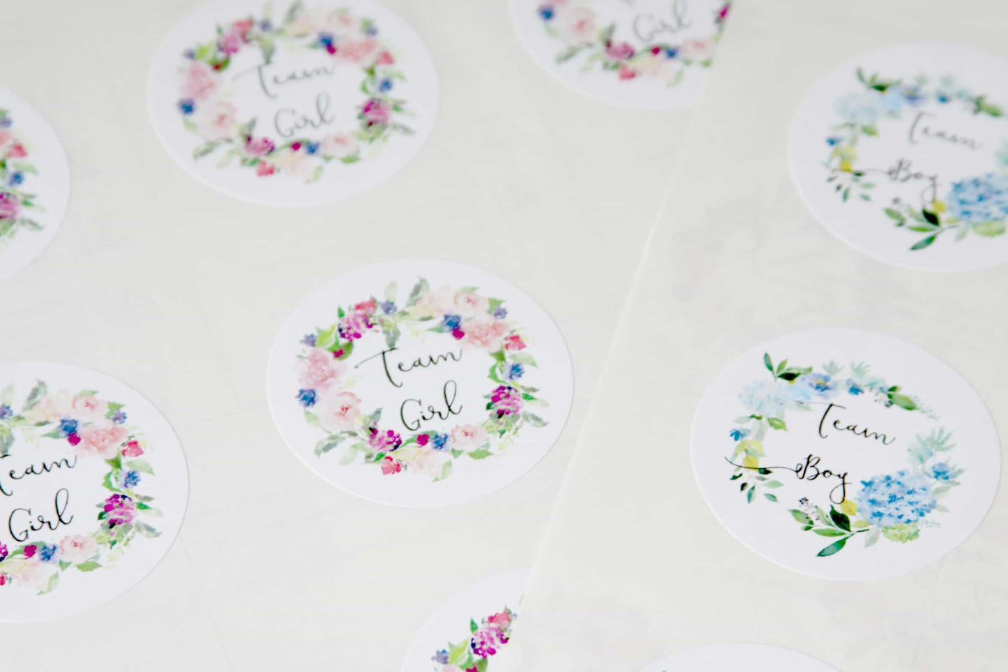 Team Boy Team Girl Stickers