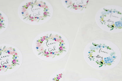 Team Boy Team Girl Stickers