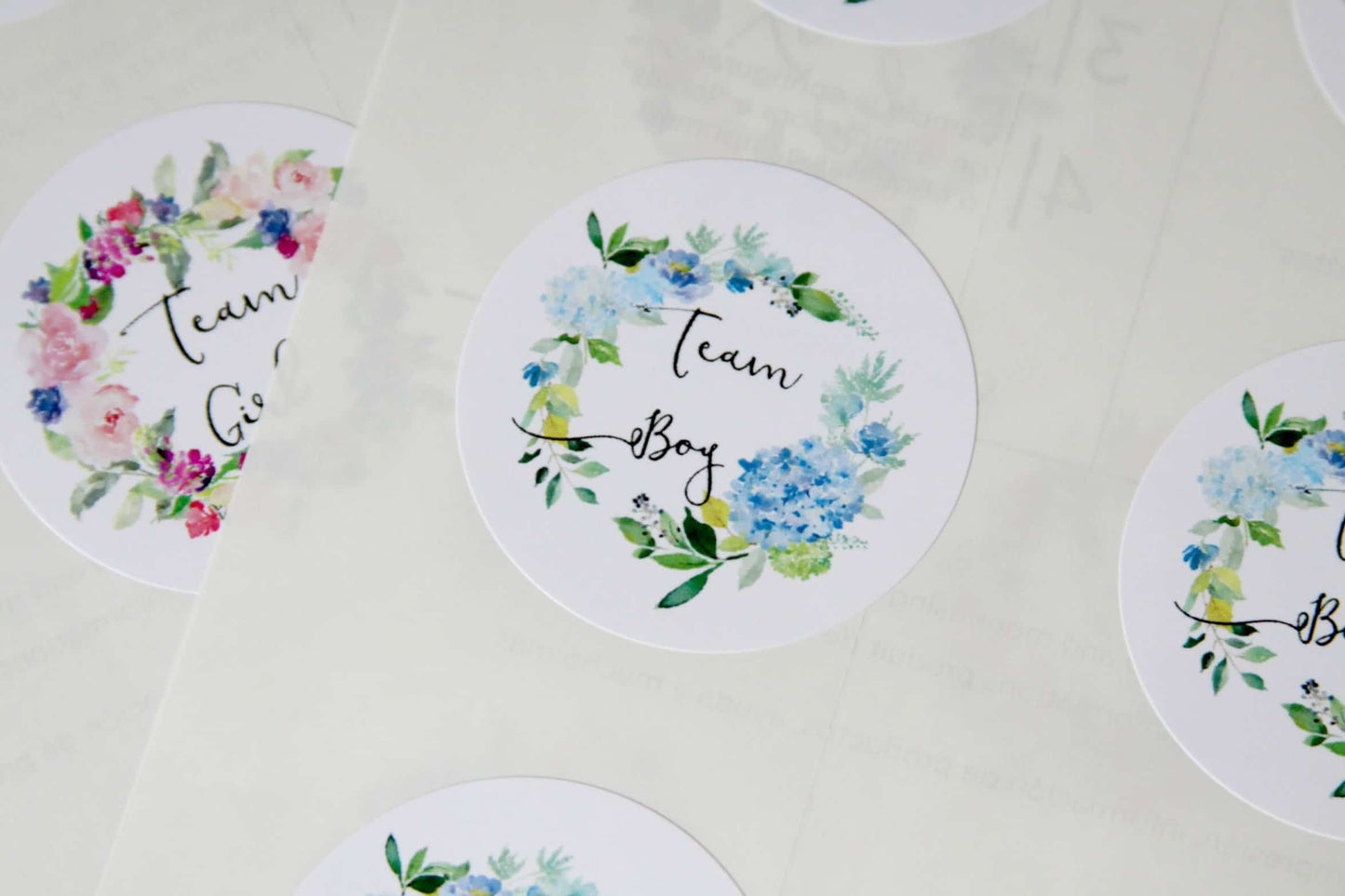 Team Boy Team Girl Stickers