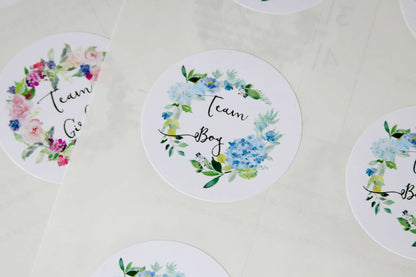 Team Boy Team Girl Stickers