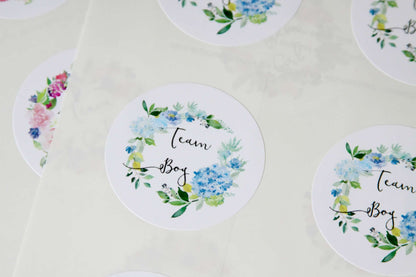 Team Boy Team Girl Stickers