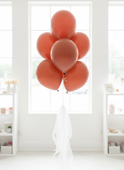 Terracotta balloon bouquet with white organza ribbons