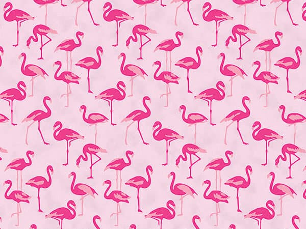 Tropical Gift Bags and Flamingo Tissue